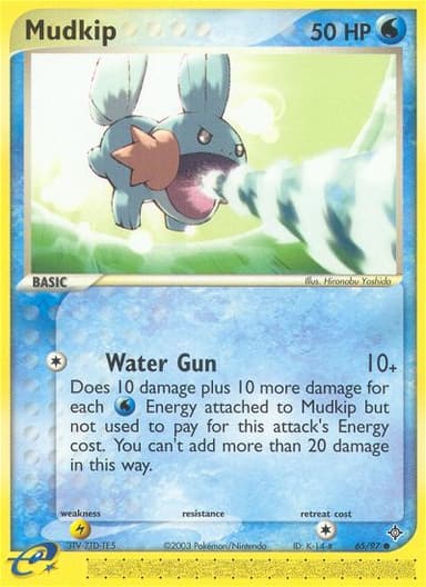Mudkip card photo