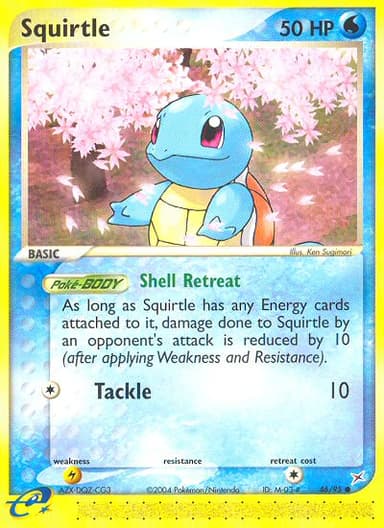 Squirtle card photo