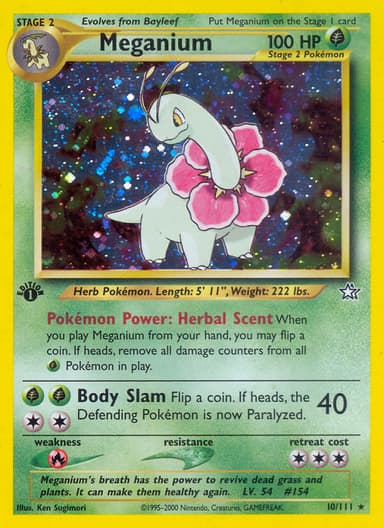 Meganium card photo