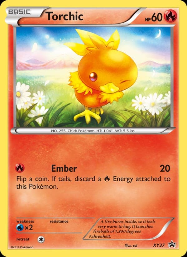 Torchic #XY37