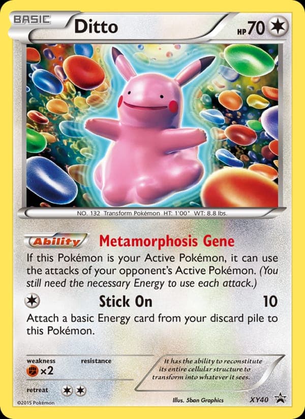Ditto #XY40