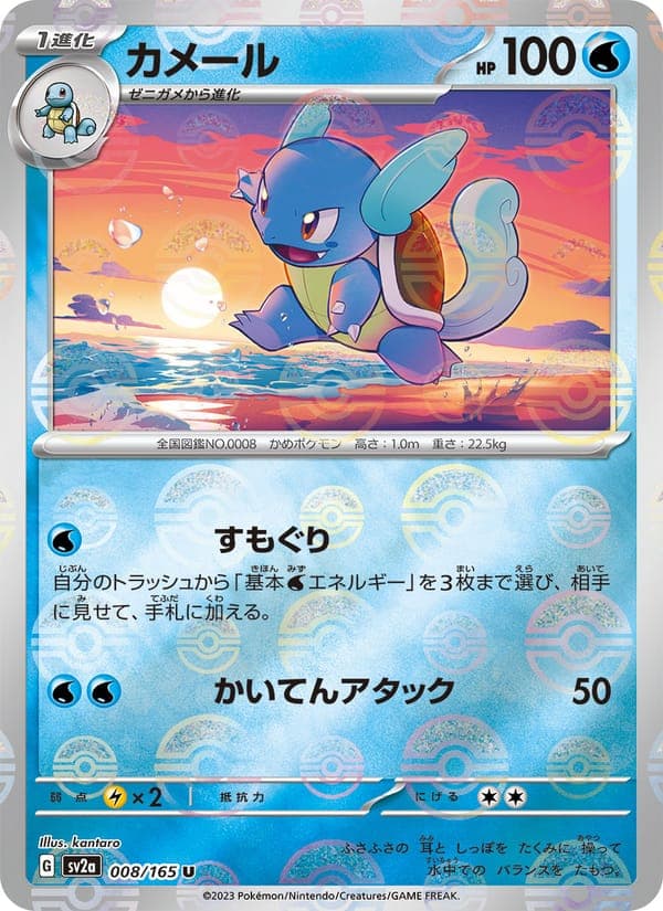 Wartortle #8