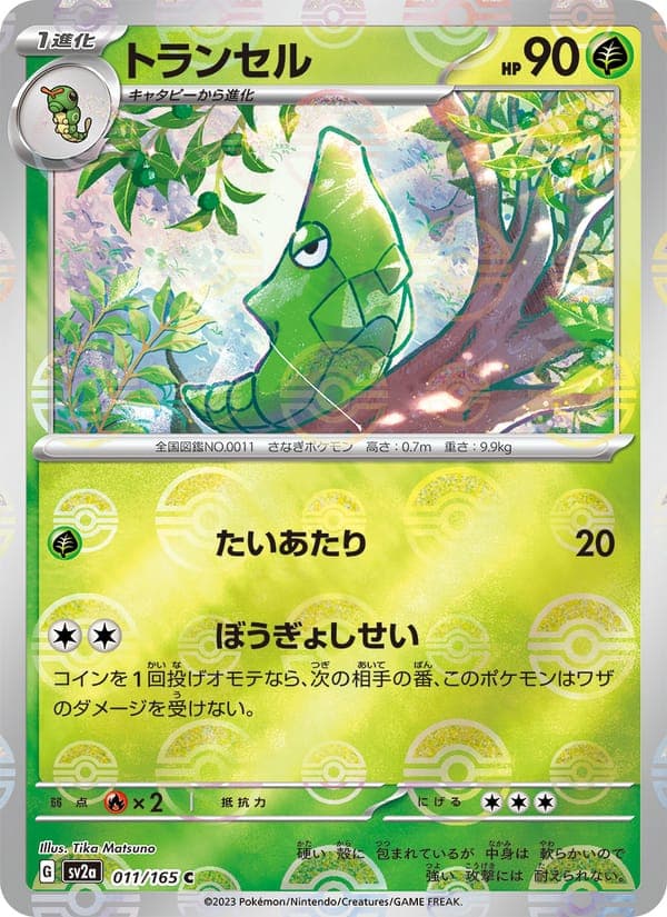 Metapod #11