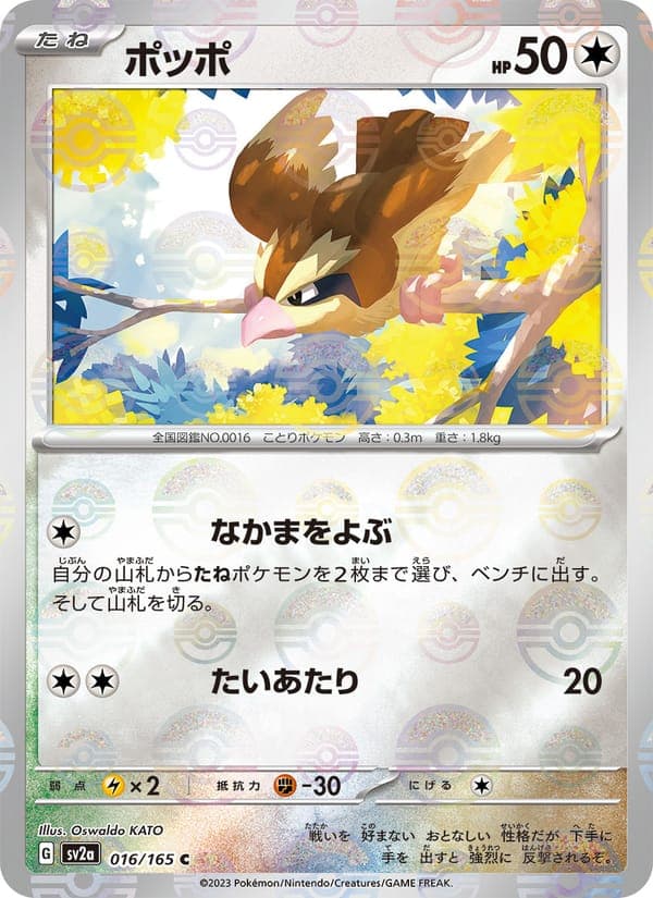 Pidgey #16