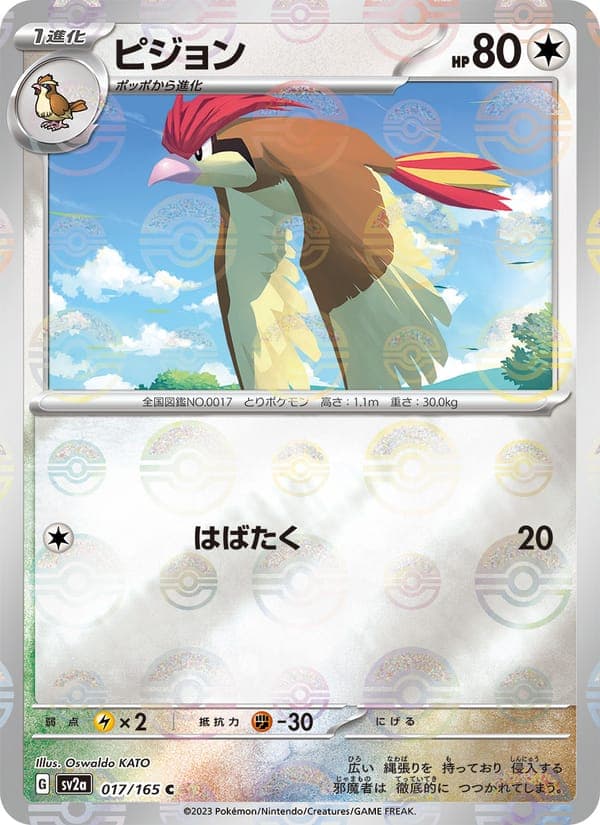 Pidgeotto #17