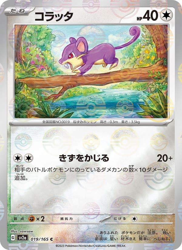 Rattata #19