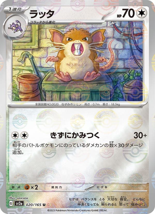 Raticate #20