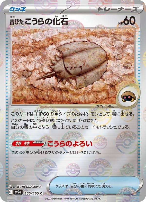 Antique Dome Fossil #155