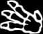 Fossil set symbol