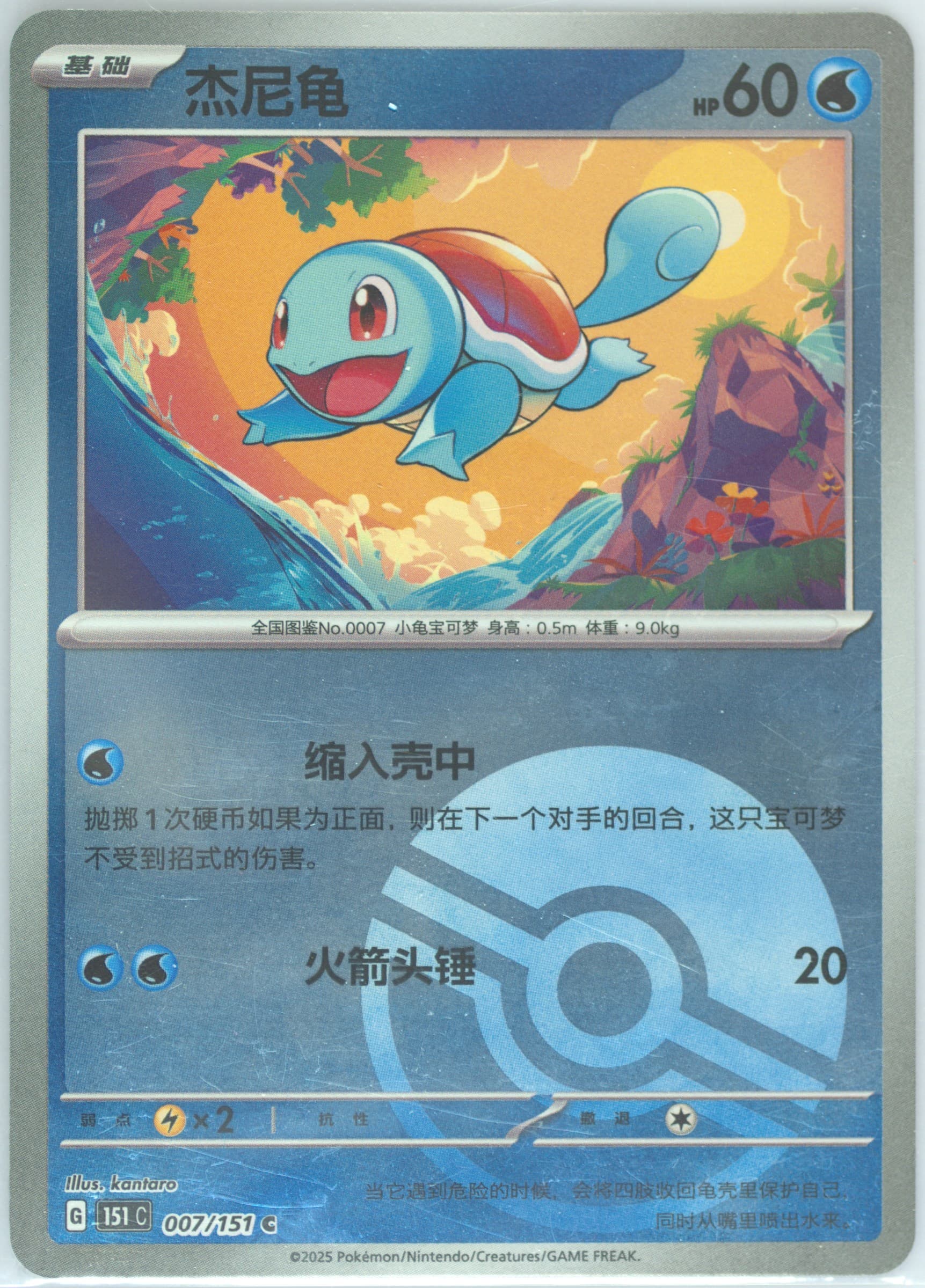 Squirtle #007
