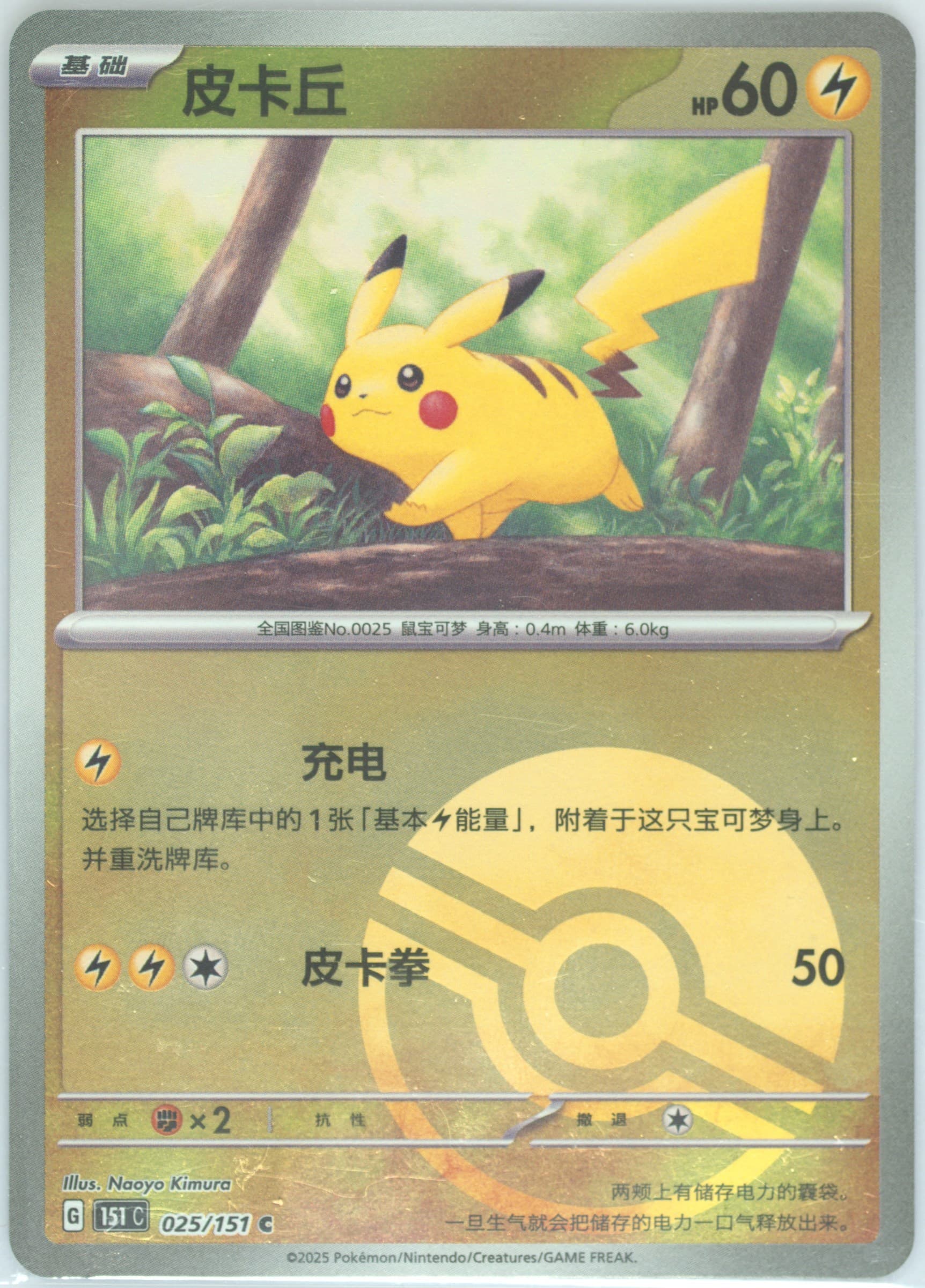 Pikachu #025
