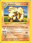 Arcanine Shadowless PSA 8