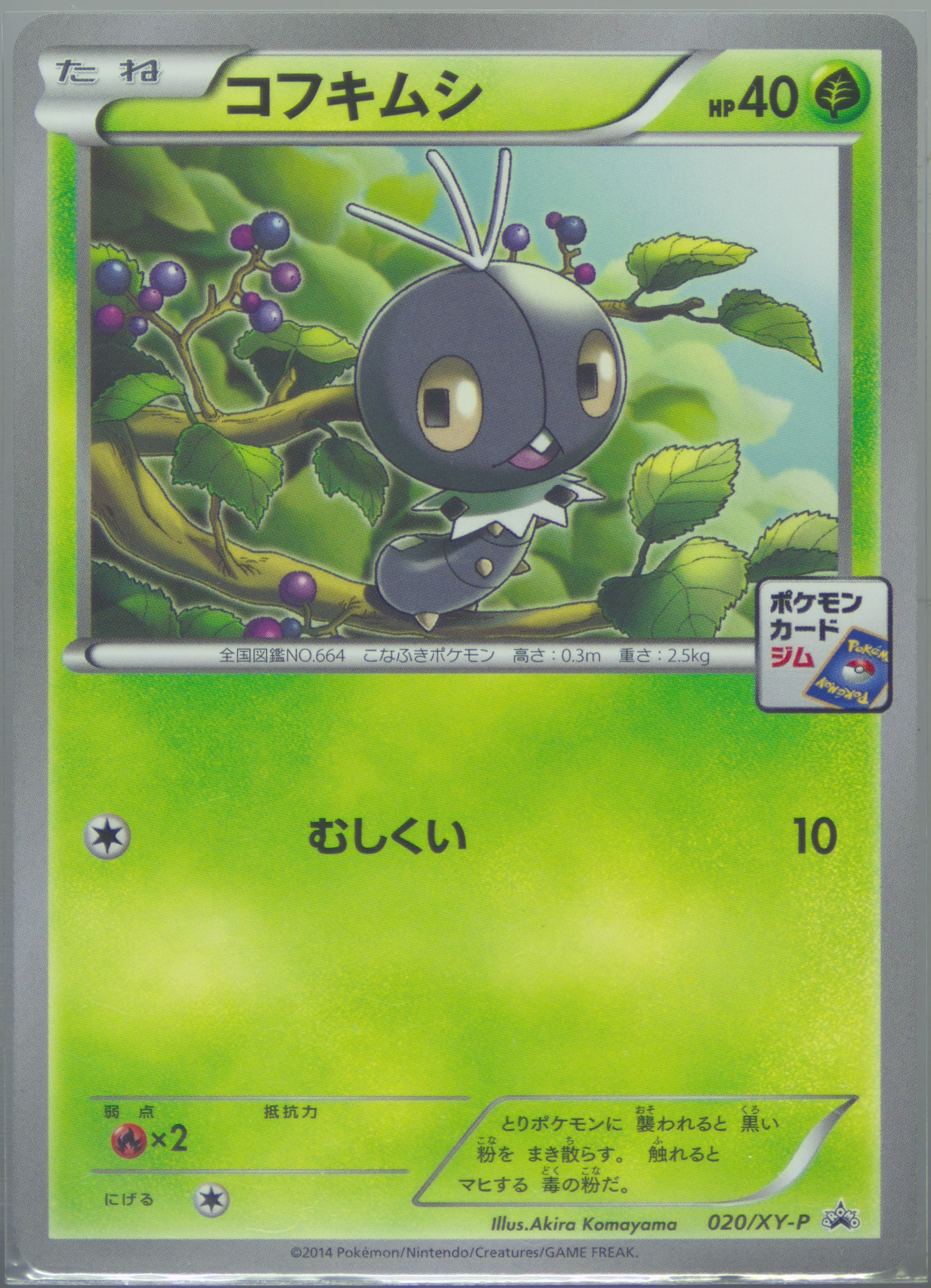 Scatterbug Pokemon Card Gym Promotional Card Pack 1 #020