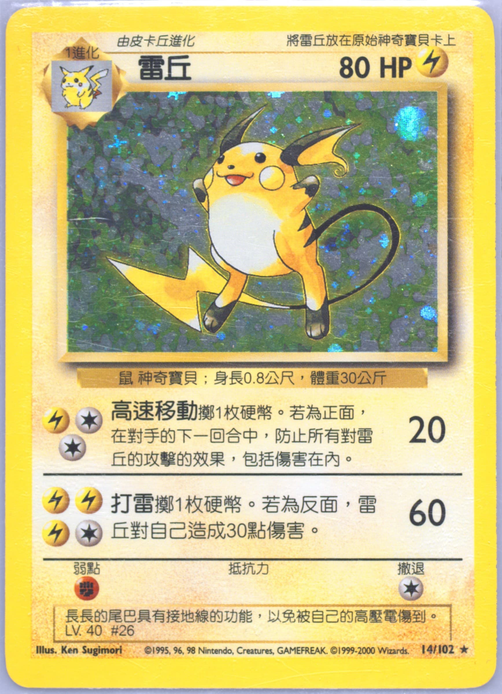Raichu #14