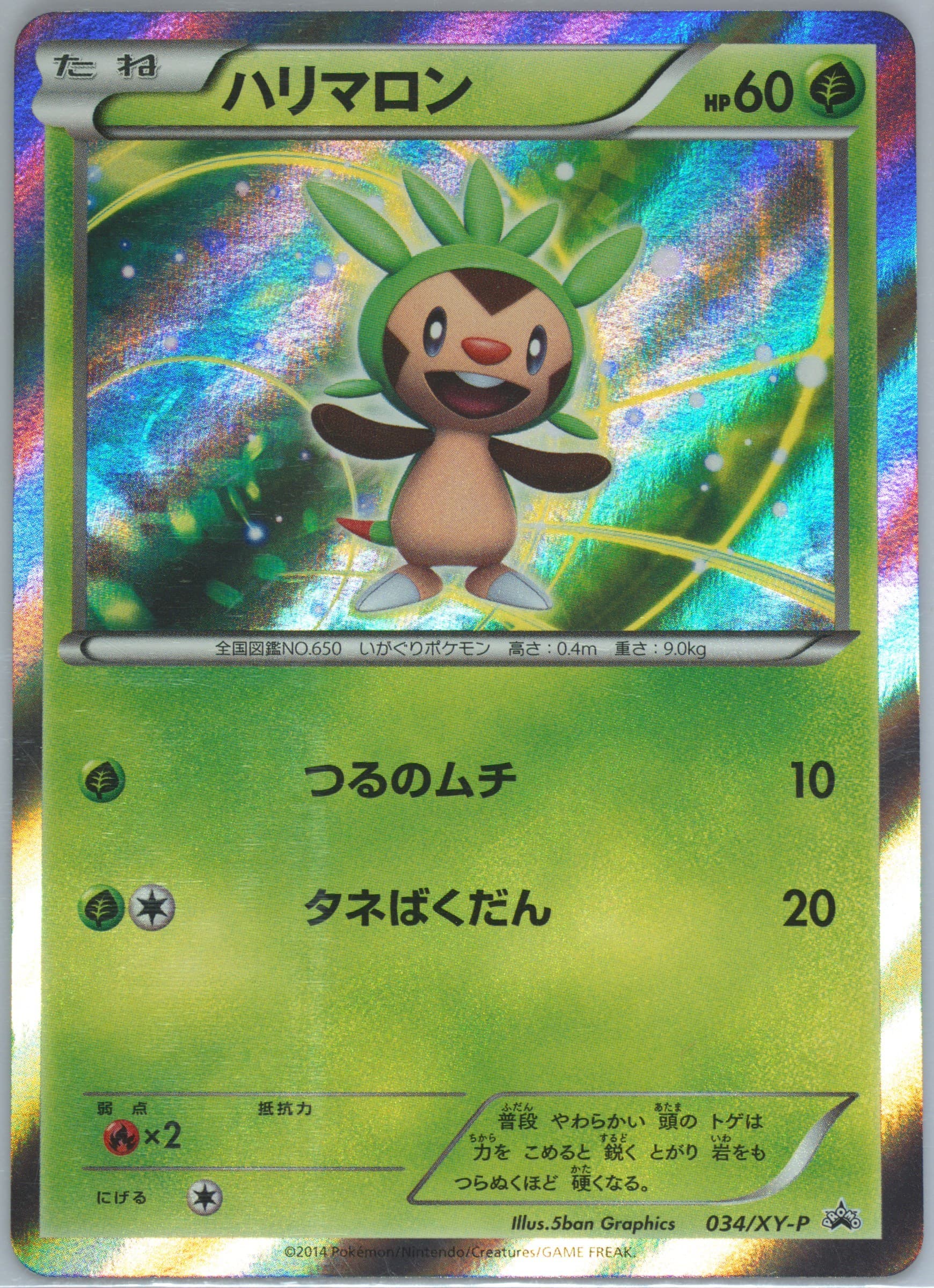 Chespin-Holo #34