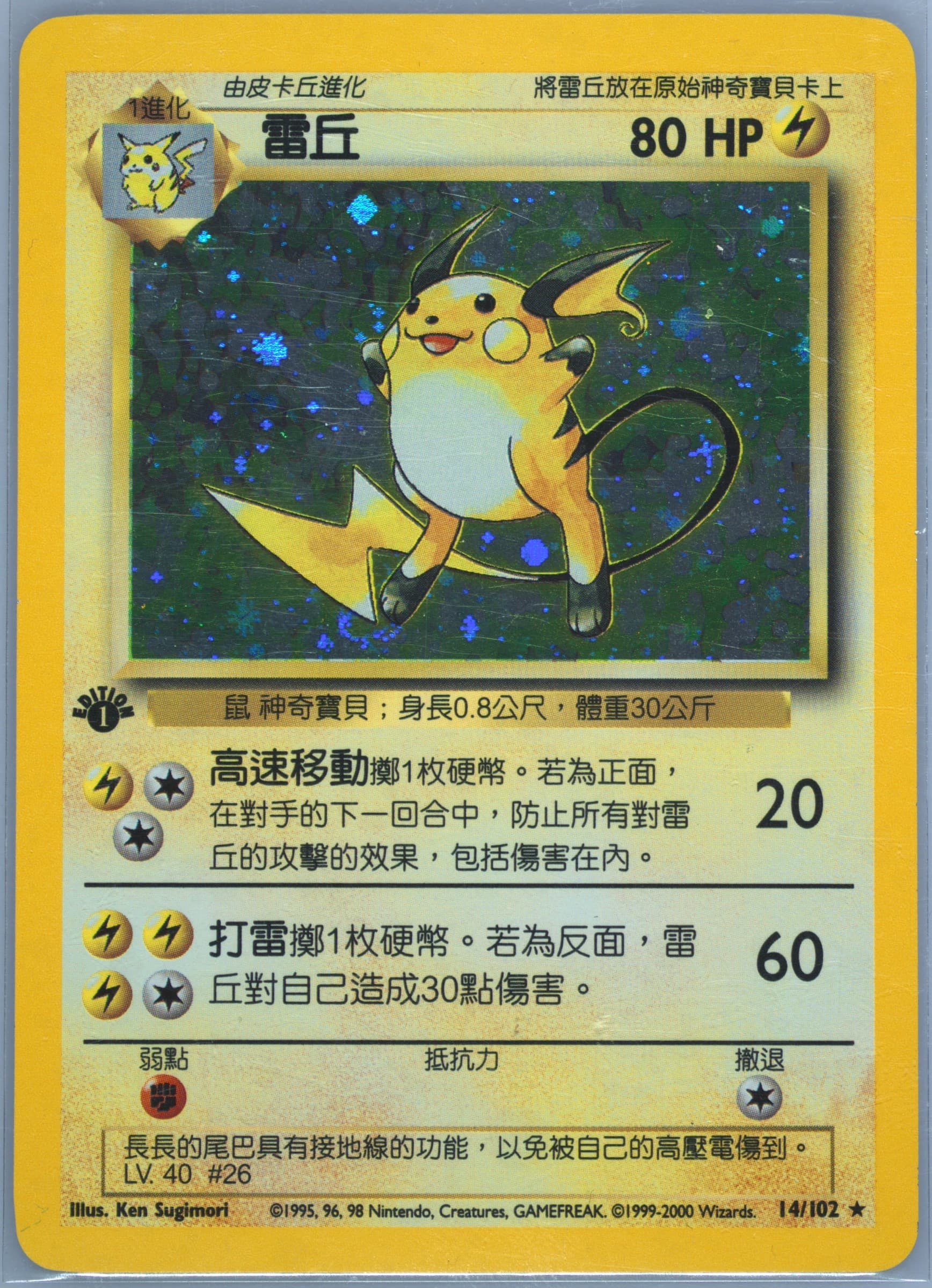 Raichu #14