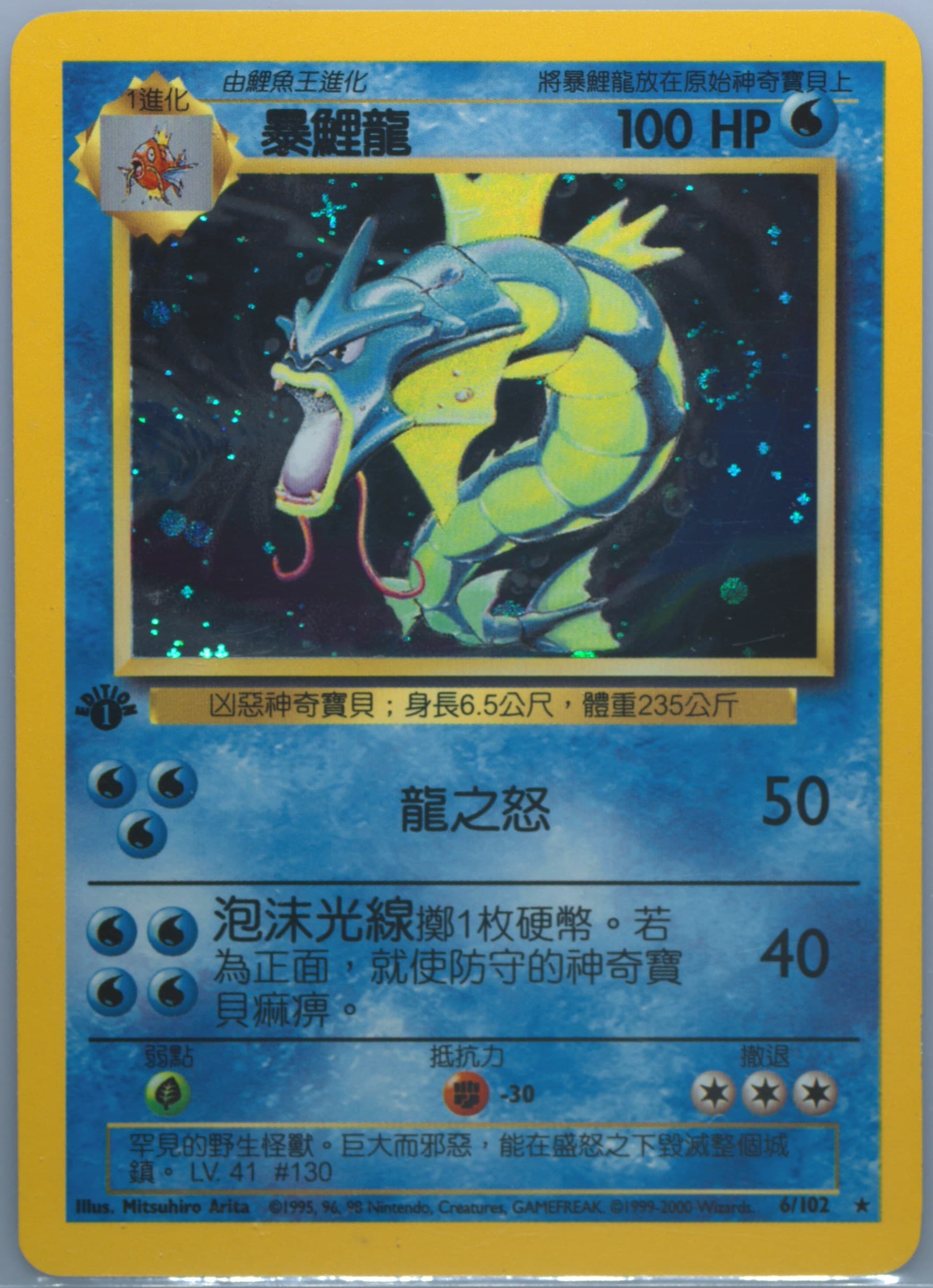 Gyarados #6