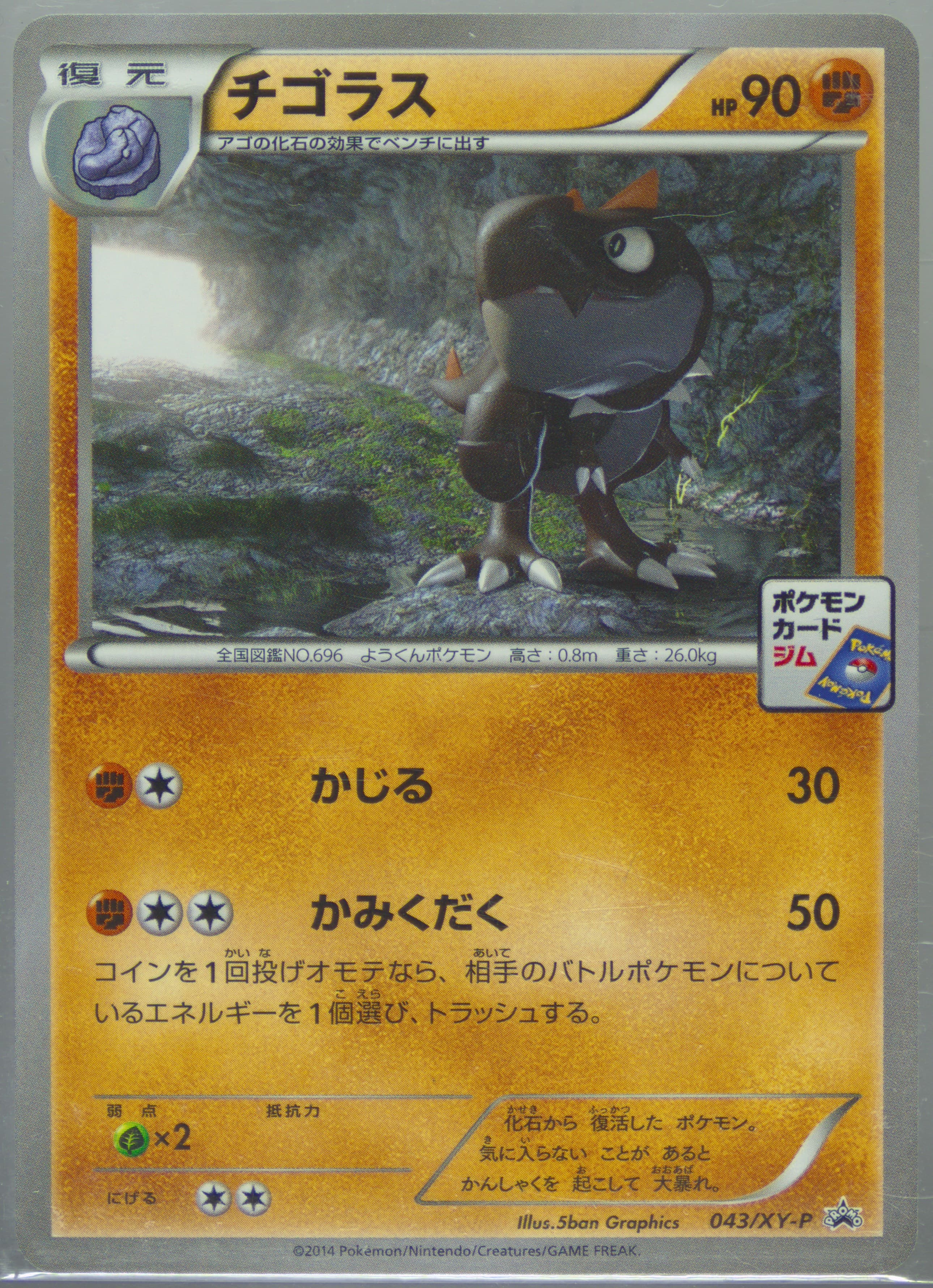 Tyrunt Pokemon Card Gym Promotional Card Pack 2 #043