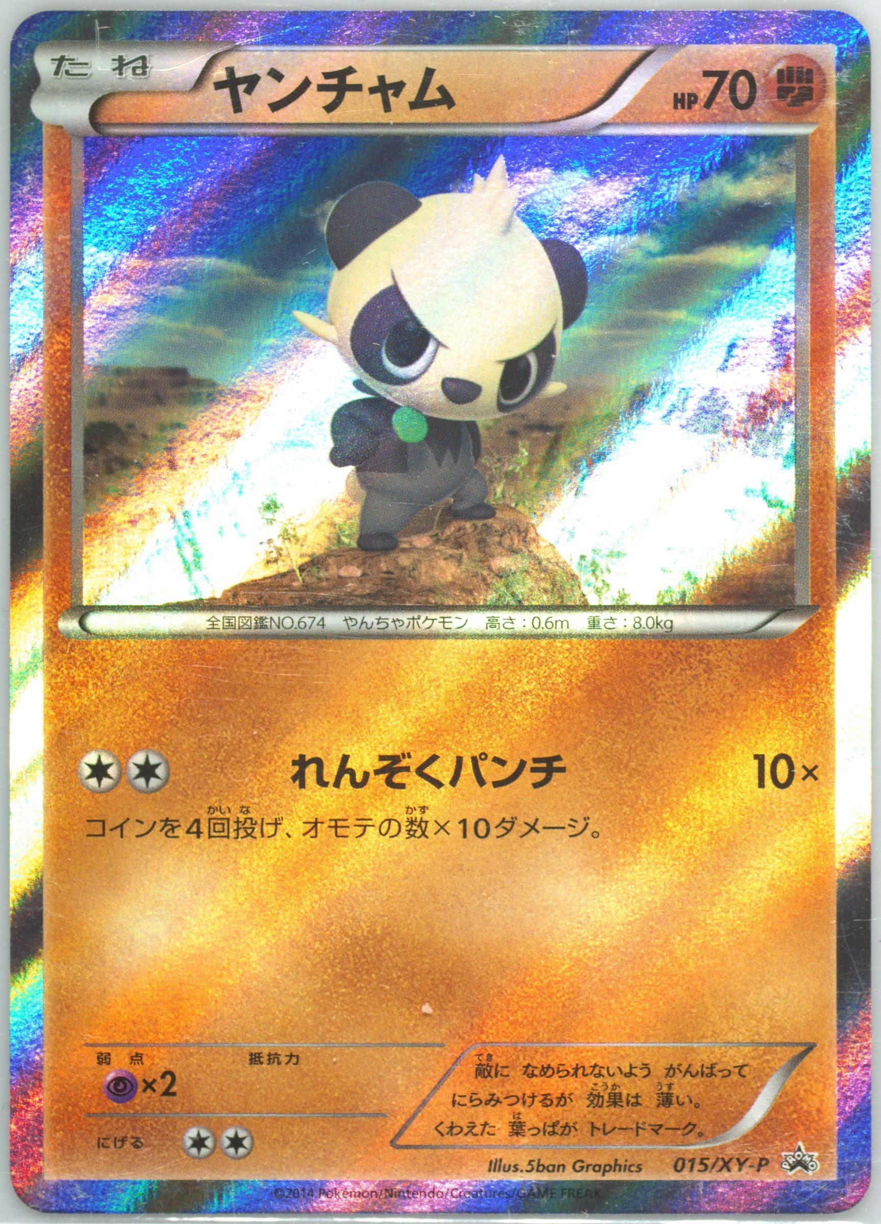 Pancham-Holo Yveltal Half Deck #15