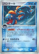 Huntail card photo
