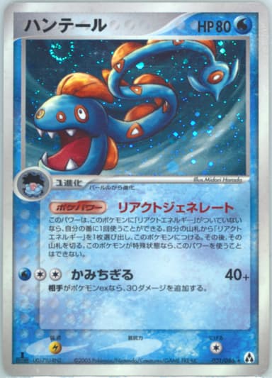 Huntail card photo
