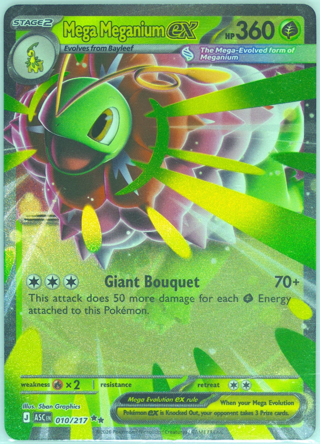 Mega Meganium ex #10 Holo, Ascended Heroes card photo