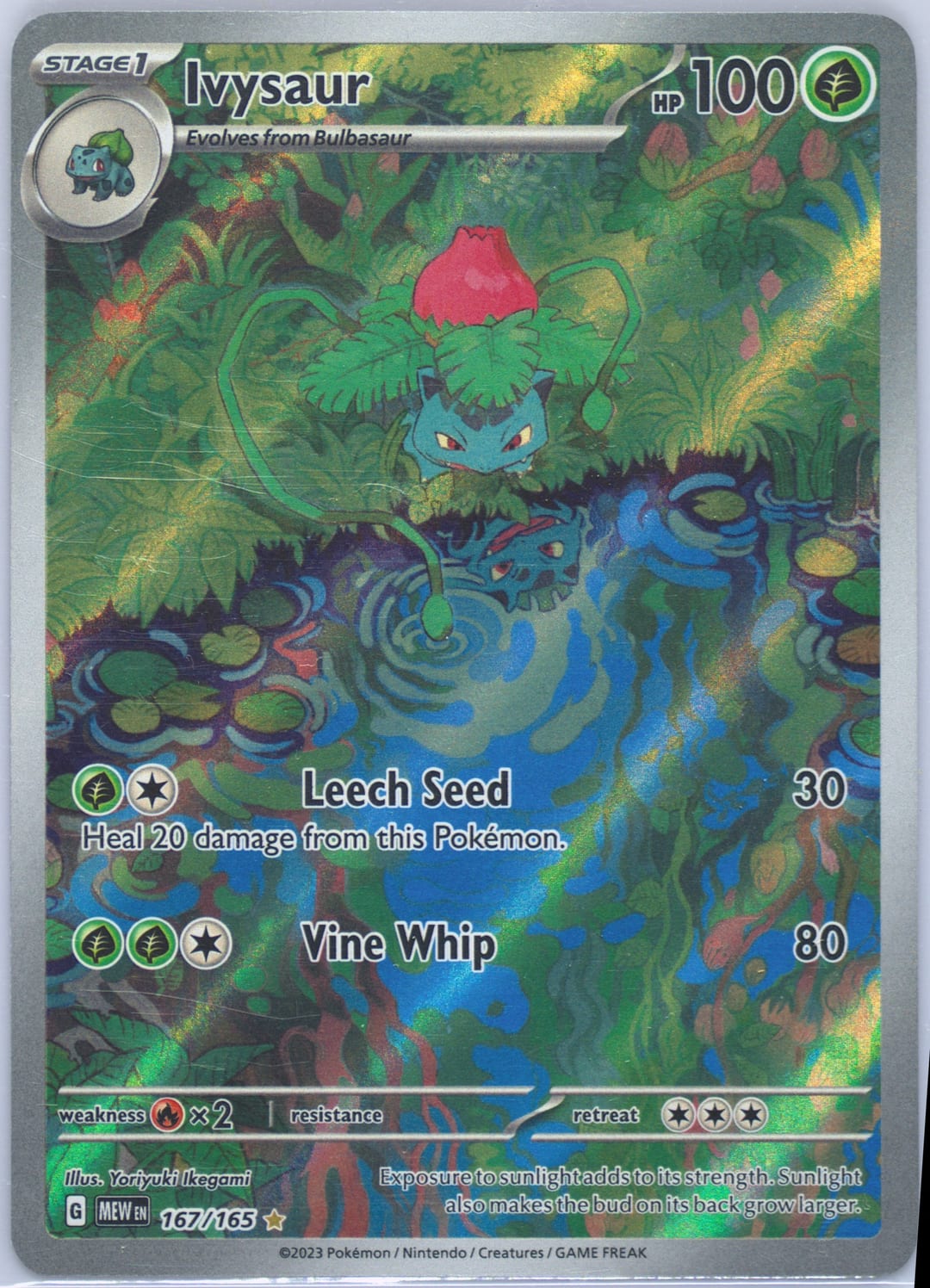 Ivysaur #167 Holo, 151 card photo